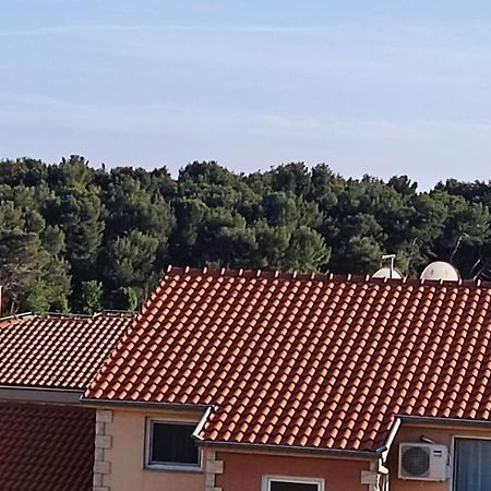 מדולין Apartman Lino מראה חיצוני תמונה